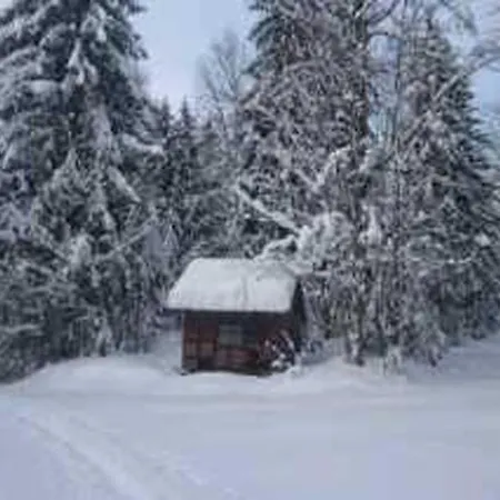 Ferienwohnung Piller Hohenau Экстерьер фото