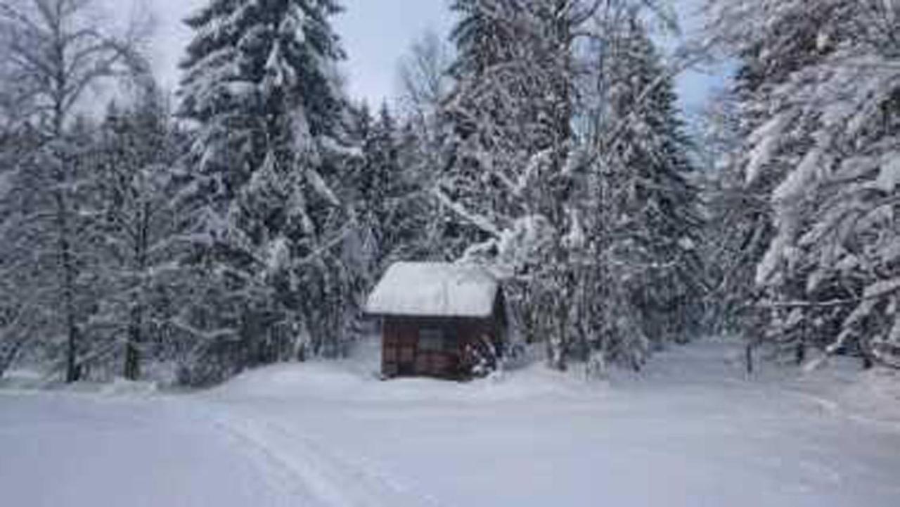 Piller * Hohenau